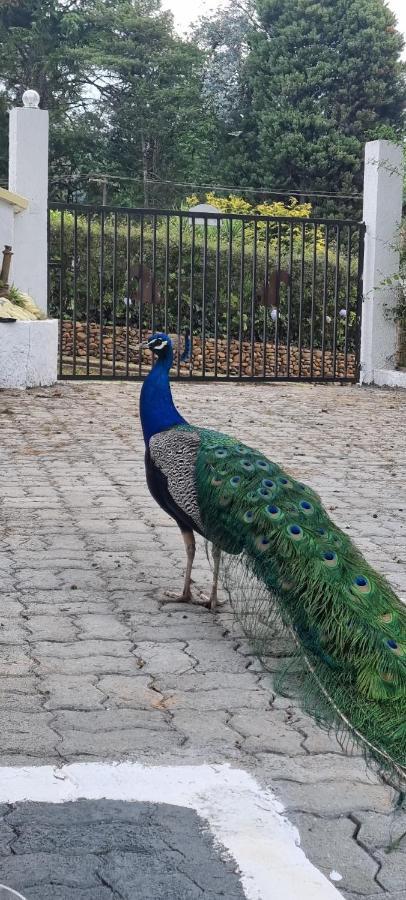 Recanto Ursa Maior Monte Verde (Minas Gerais) Exterior foto