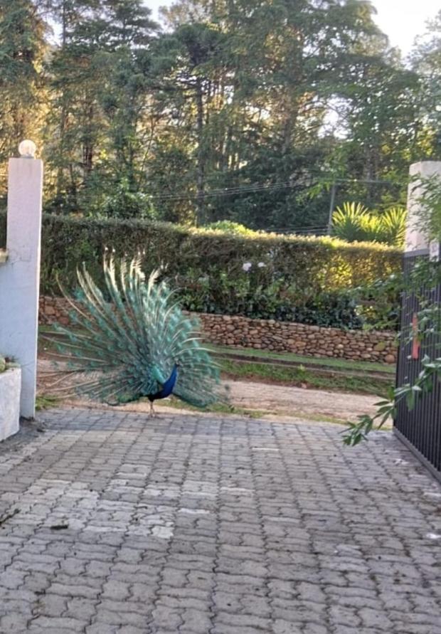 Recanto Ursa Maior Monte Verde (Minas Gerais) Exterior foto